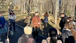 В Общественной палате Ставрополья предложили проверить работу по вырубке деревьев в «Дубовой роще»