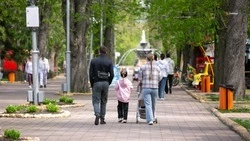 Дополнительное финансирование направят на поддержку многодетных семей Ставрополья