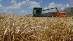 На Ставрополье аграрии собрали более 7 млн тонн зерна