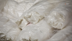 Ставрополье вдвое нарастило экспорт сахарной продукции