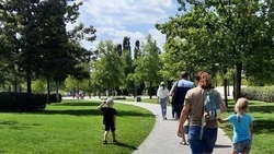 В Ставропольском крае проживает около 45 тыс. многодетных семей
