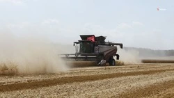 Оказывать аграриям всестороннюю поддержку поручил губернатор Ставрополья