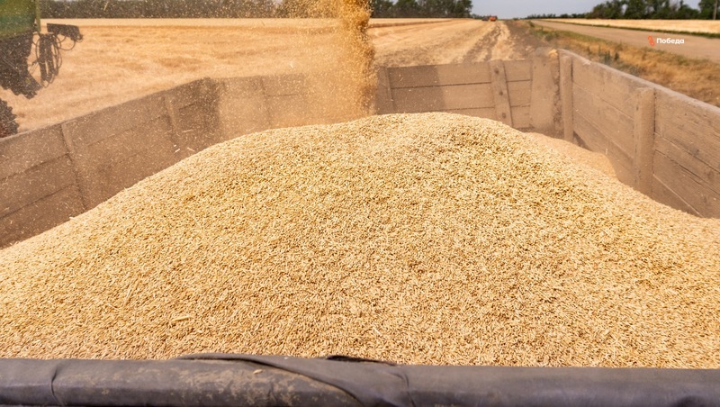 Экспорт ставропольской пшеницы и меслина в Грузию увеличился почти в 15 раз