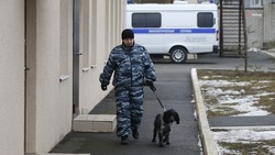 Жителя Невинномысска будут судить за экстремистские посты в соцсетях