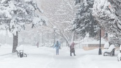 Способы защиты от обморожения назвали ставропольские врачи