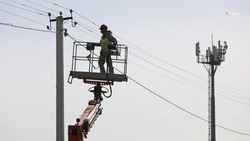 Свыше 400 птицезащитных устройств установили на ЛЭП Ставрополья