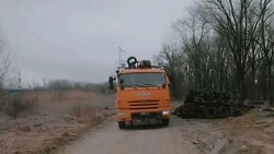 В лесополосе под Невинномысском обнаружили свалку автомобильных покрышек