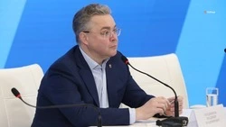 Губернатор поручил вести контроль графика строительства экопарка в Невинномысске