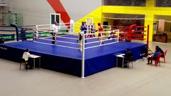 Двое юношей из Невинномысска одержали победу на краевых соревнованиях по боксу