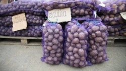 На Ставрополье появится новое овощехранилище на 6 тыс. тонн продукции