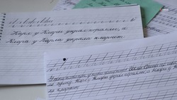Участники экоакции собрали 70 тонн макулатуры на Ставрополье