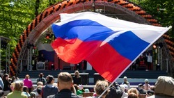 Одиннадцать тысяч школ в регионах РФ закупят гербы и флаги за счёт правительства