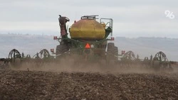 Аграрии Ставрополья засеяли свыше 317 тыс. га полей яровых культур