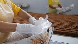 Инструменты бережливого производства освоили порядка 1,7 тыс. ставропольцев