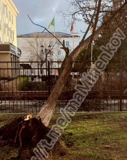 Последствия сильного ветра устраняют на улицах Невинномысска