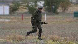 Поддержку предпринимателей, участвующих в СВО, разрабатывают на Ставрополье