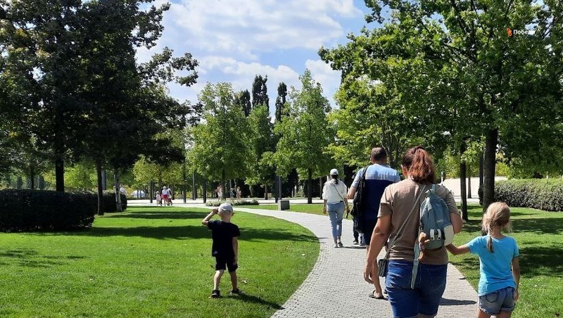 В Ставропольском крае проживает около 45 тыс. многодетных семей