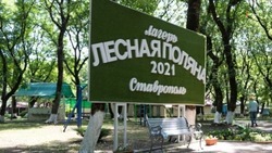 Безопасность на территории летних лагерей Ставрополья обеспечат по поручению губернатора 