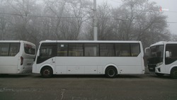 Порядка 3,8 млн пассажиров перевезли новые ставропольские автобусы