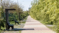 164 проекта вынесли на голосование по благоустройству на Ставрополье
