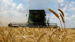Аграрии Ставрополья убрали более 120 тысяч гектаров засеянных зерновыми культурами полей