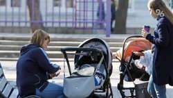 Ставропольские семьи в 2022 году получили свыше 5 миллиардов рублей господдержки