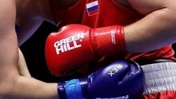 В Невинномысске пройдут соревнования по боксу на призы главы города