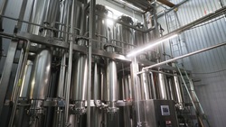 Число малых и средних предприятий выросло на 14% на Ставрополье
