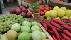Завершение уборочной кампании отметили на Ставрополье 