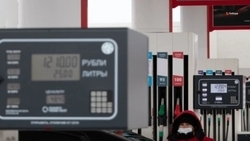 Газозаправочную инфраструктуру развивают на Ставрополье по поручению губернатора