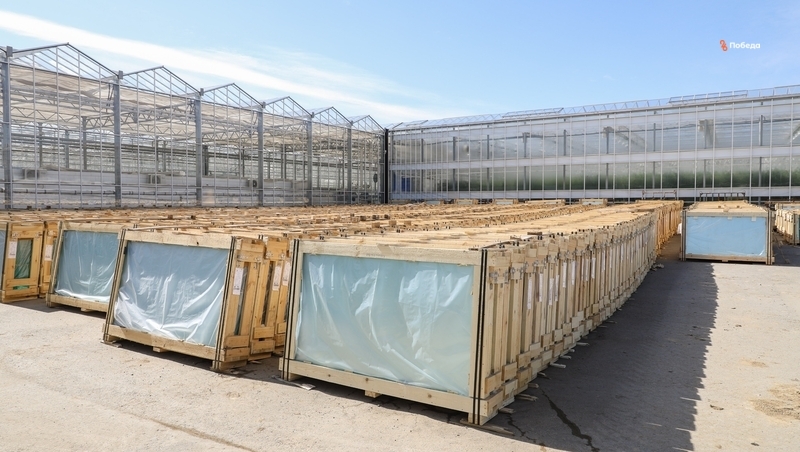 Ставропольские фермеры могут получить поддержку на строительство теплиц