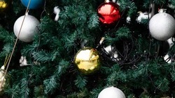 На Ставрополье организовали более 3 тыс. новогодних мероприятий для детей