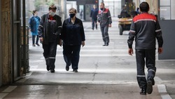 Более 5 тыс. человек трудоустроили на Ставрополье с начала года