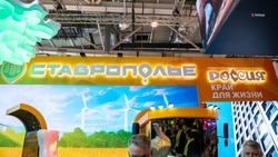Достижения в развитии экономики продемонстрировали на стенде Ставрополья