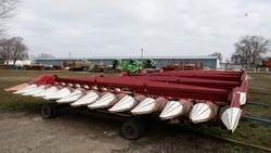 Аграрии Ставропольского края получат субсидии на выращивание картофеля и овощей