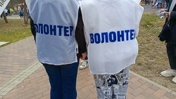 Глава Невинномысска приглашает участвовать в голосовании за благоустройство