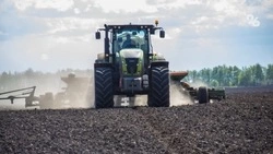 Свыше 1,5 млрд рублей субсидий получили аграрии Ставрополья