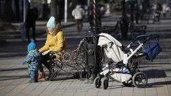 В 2023 году на Ставрополье провели более 2 тыс. процедур ЭКО