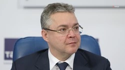 Навестить бойцов в госпиталях во время праздников поручил главам территорий губернатор Ставрополья 