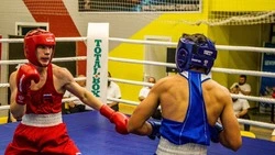 Всероссийские соревнования по боксу проходят в Невинномысске