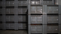 Логистический центр по обработке продукции садоводства формируют в Невинномысске