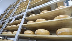 Выпуск продукции пищепрома нарастили на Ставрополье на 12%