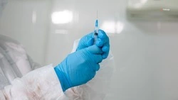 Работу по борьбе с гепатитом С проводят на Ставрополье