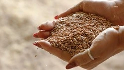 Аграриям Ставрополья одобрили льготных кредитов на 50 миллиардов рублей