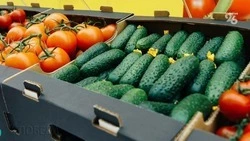 Сельхозпродукция Ставрополья в 2023 году экспортировалась в восемь стран