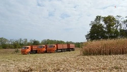 Ставрополье нарастило выпуск продуктов питания