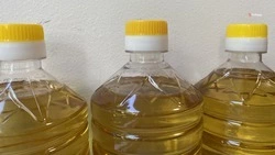 Экспорт подсолнечного масла вырос на Ставрополье на 82%