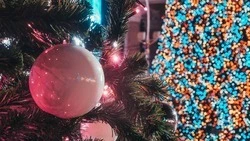 Ставропольские родители смогут посетить новогодние утренники детей
