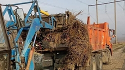 Городское кладбище Невинномысска очищают от мусора и листвы