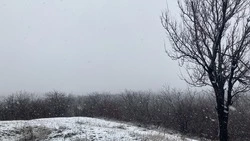 Сильный гололёд и изморозь ожидаются на юге Ставропольского края 10 февраля